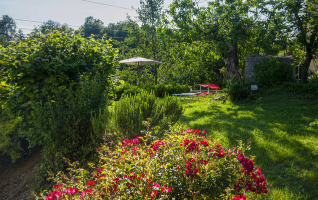 La Vallia - Photo 26